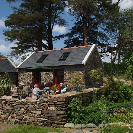 Ballycommane House & Garden Durrus Kültér fotó